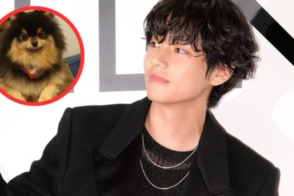 Why Yeontan Was Destined To Meet The Best Dog Dad Around — BTS’s V