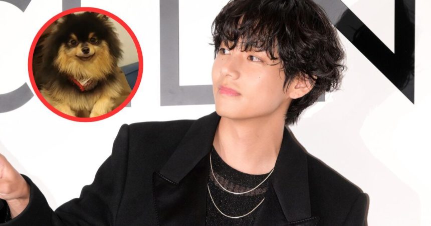 Why Yeontan Was Destined To Meet The Best Dog Dad Around — BTS’s V